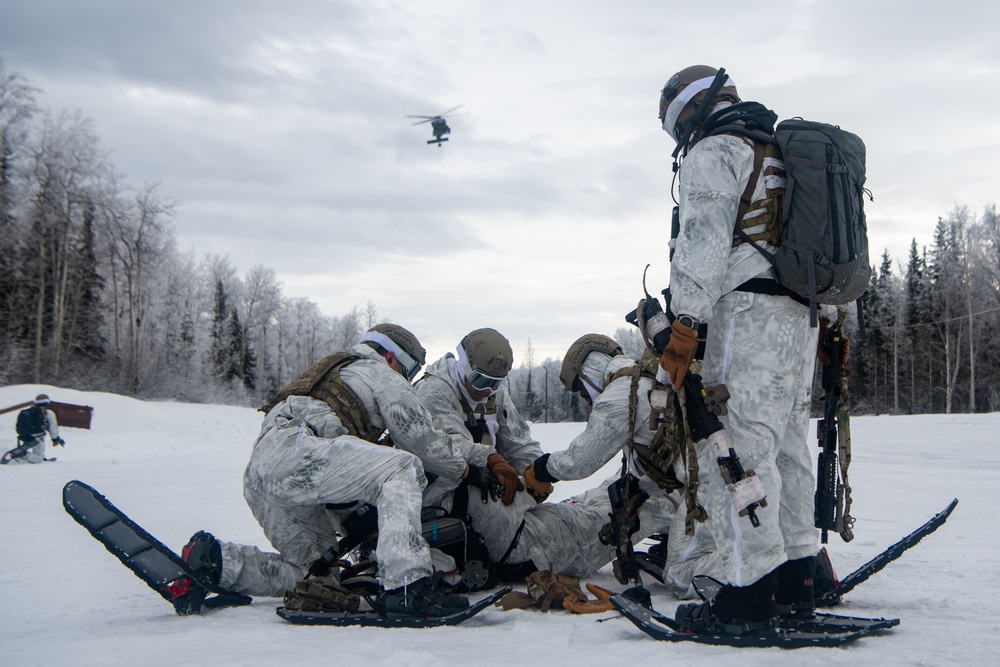 24 SOW 'D-Cell' hones arctic capabilities