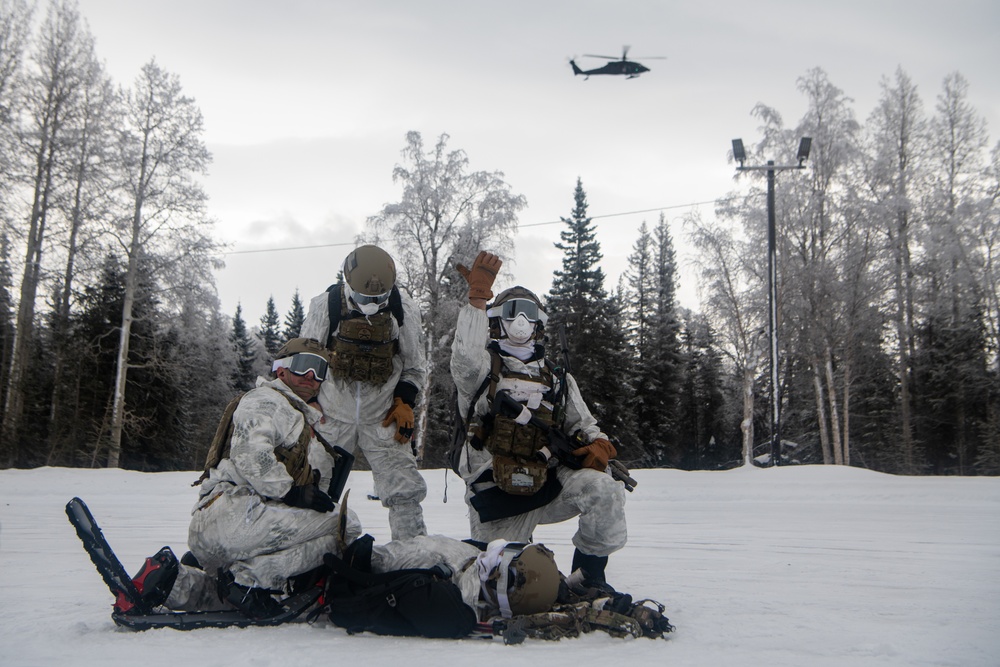 24 SOW 'D-Cell' hones arctic capabilities