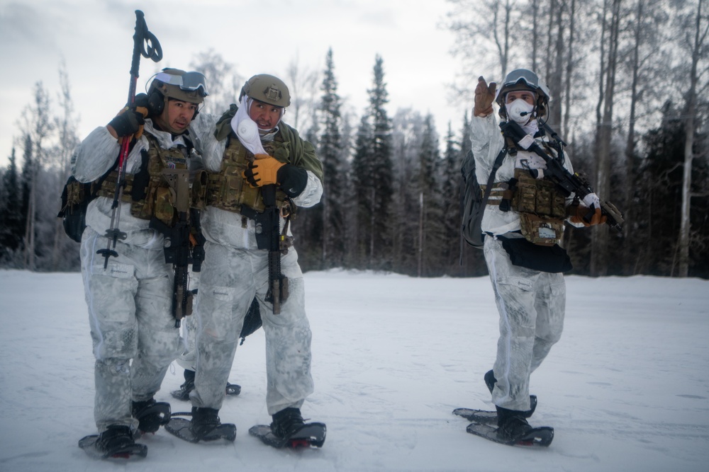 24 SOW 'D-Cell' hones arctic capabilities