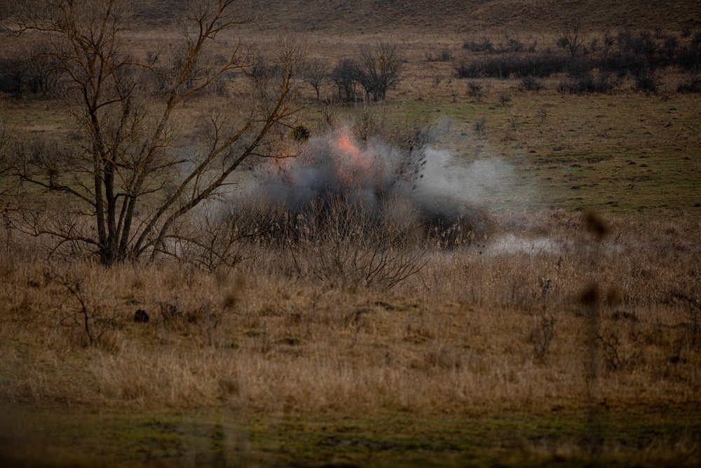 39th BEB conducts Exercise Bull Fury