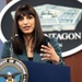 Pentagon Deputy Press Secretary Holds Press Briefing