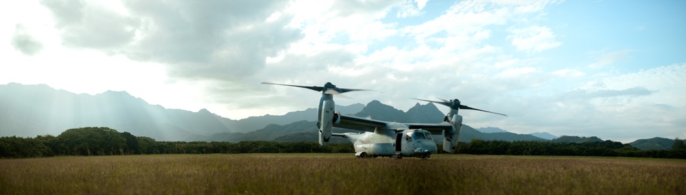 U.S. Marines with 1/12 Conduct Bellows Training