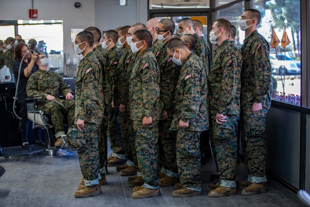 Alpha Company PX/ Haircuts