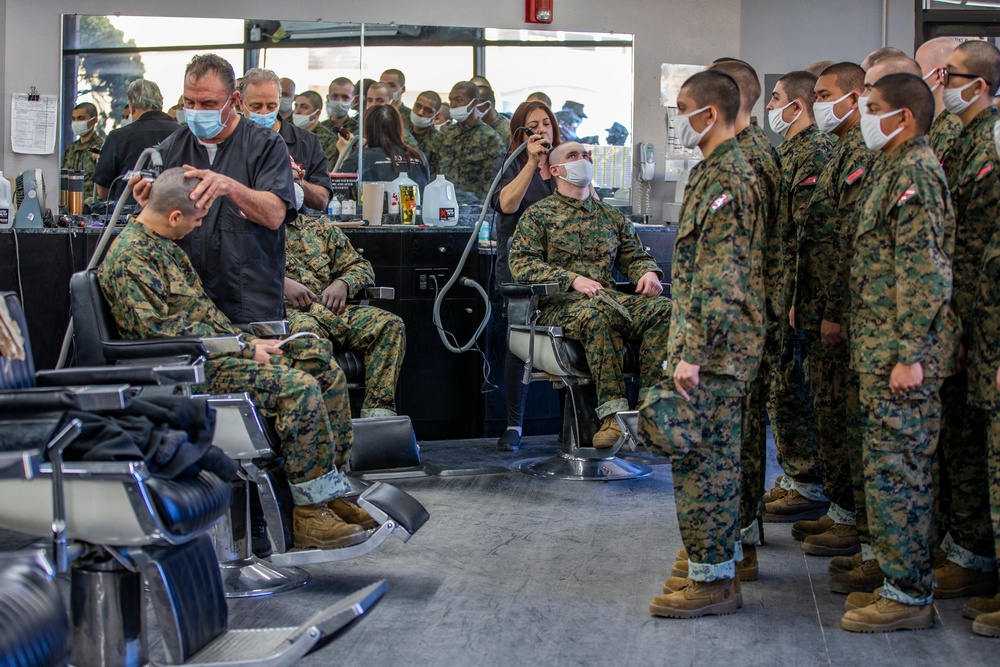 Alpha Company PX/ Haircuts