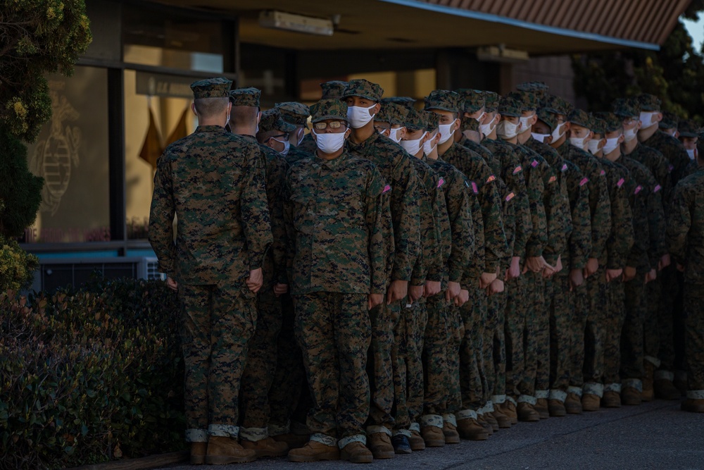 Alpha Company PX/ Haircuts