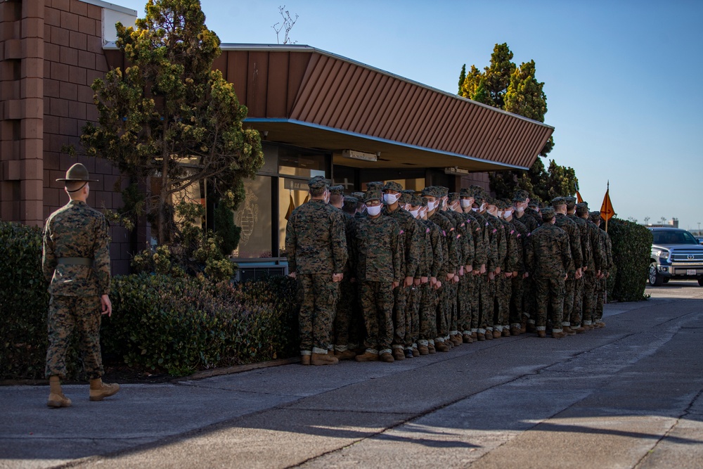 Alpha Company PX/ Haircuts