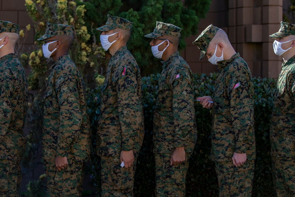 Alpha Company PX/ Haircuts