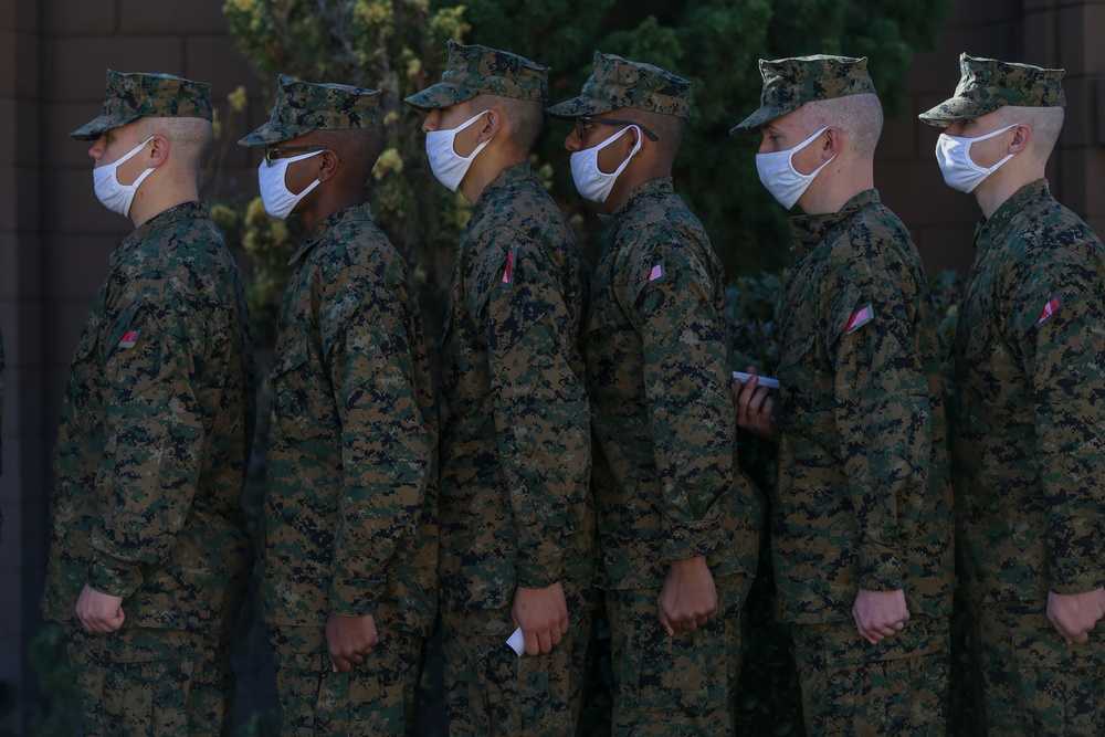 Alpha Company PX/ Haircuts