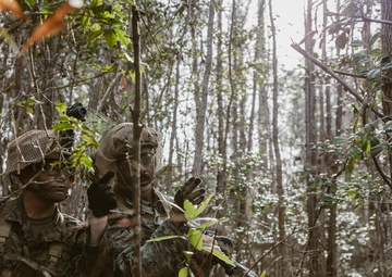 2d LAR Scout Course: Patrolling