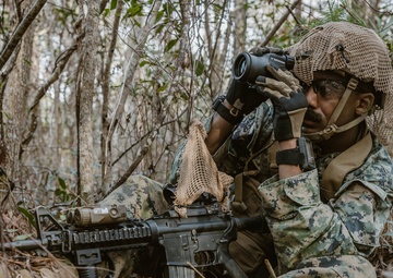 2d LAR Scout Course: Patrolling