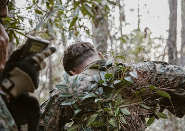 2d LAR Scout Course: Patrolling