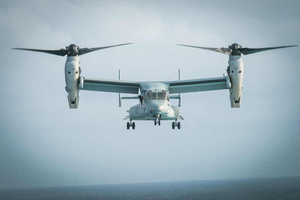 Osprey Prepares To Land