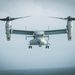 Osprey Prepares To Land