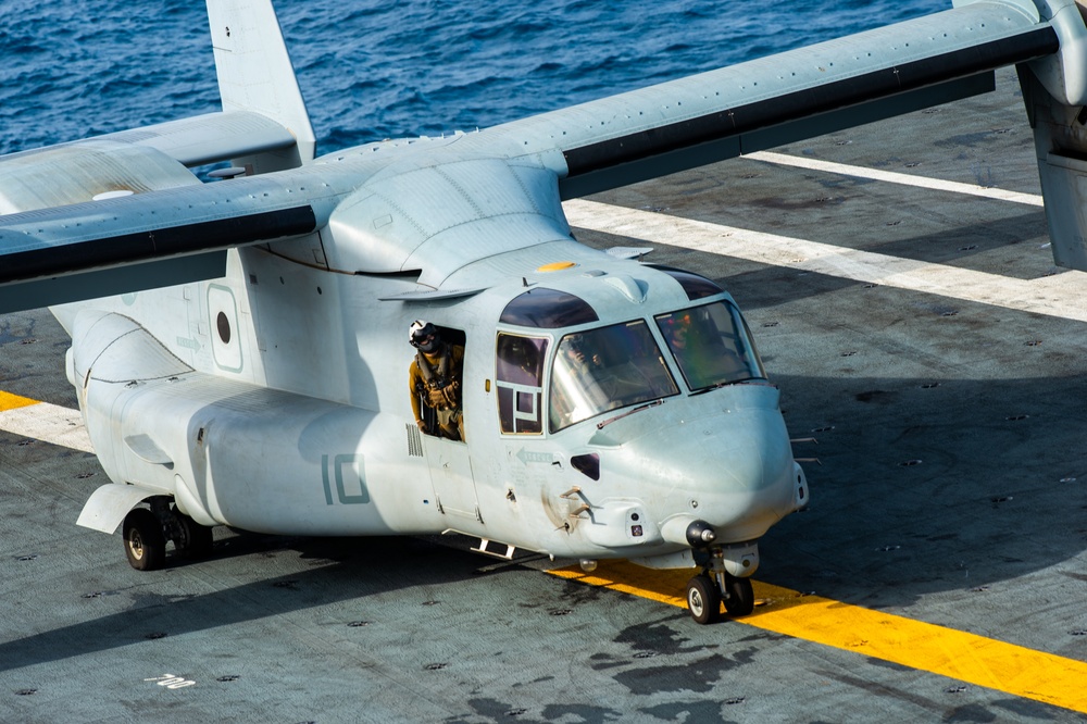 Osprey Prepares To Take Off