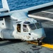 Osprey Prepares To Take Off