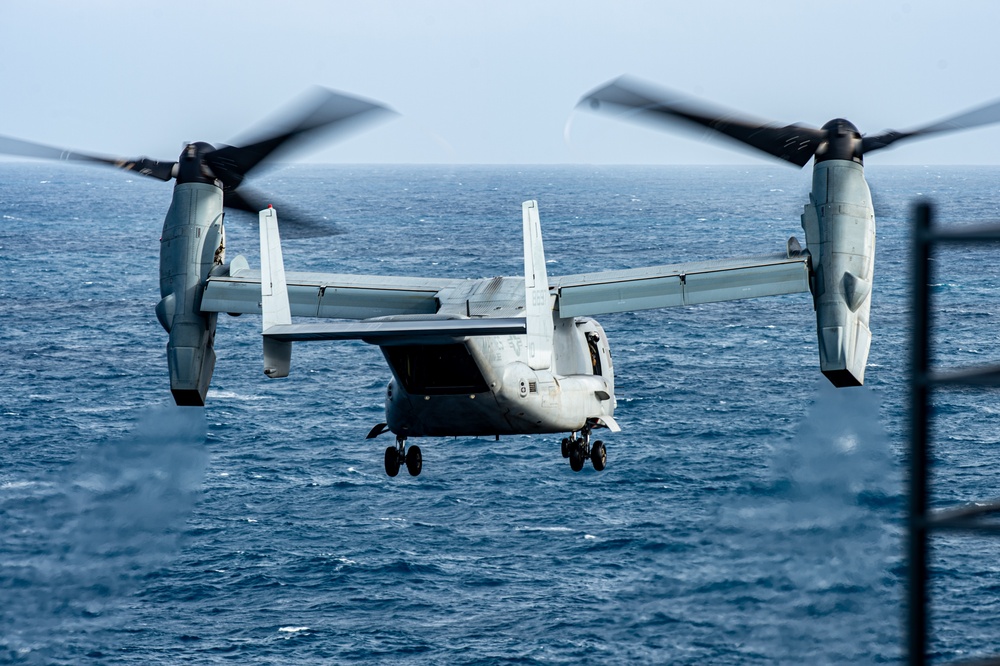 Osprey Takes Off