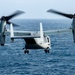 Osprey Takes Off