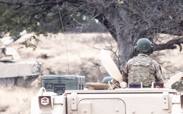 1-9 CAV Conducts Platoon/Company STX 2022