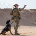 378th ESFS K9 training at the PSAB firing range