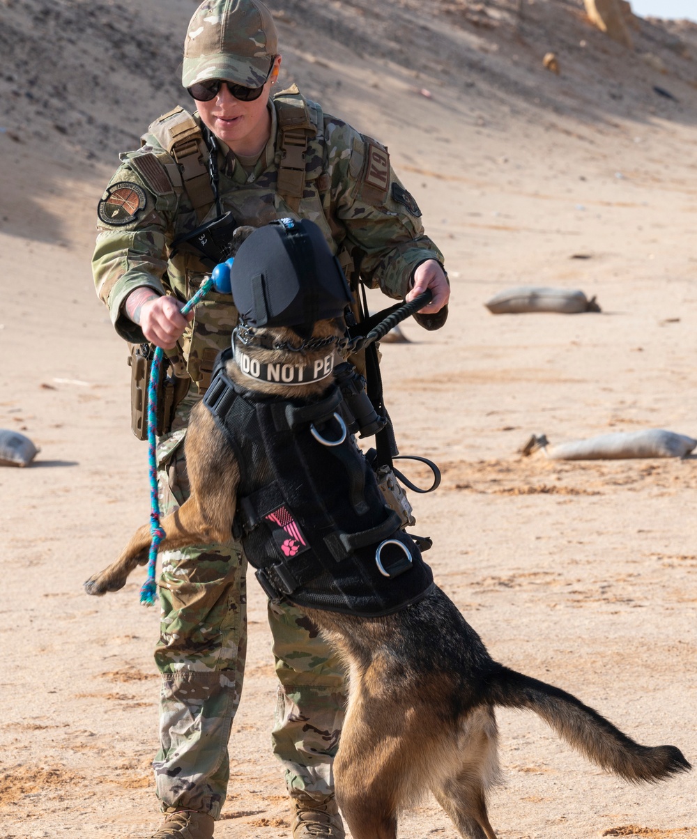 378th ESFS K9 training at the PSAB firing range