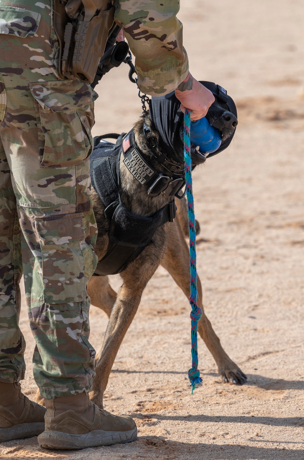 378th ESFS K9 training at the PSAB firing range