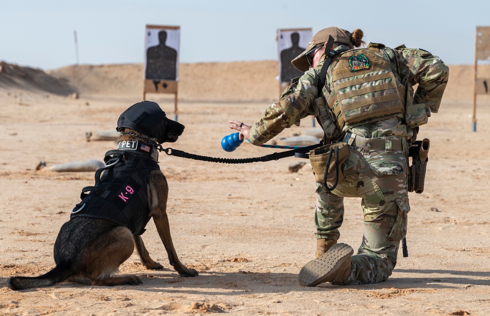 378th ESFS K9 training at the PSAB firing range