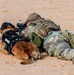 378th ESFS K9 training at the PSAB firing range