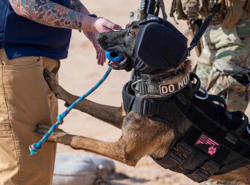378th ESFS K9 training at the PSAB firing range