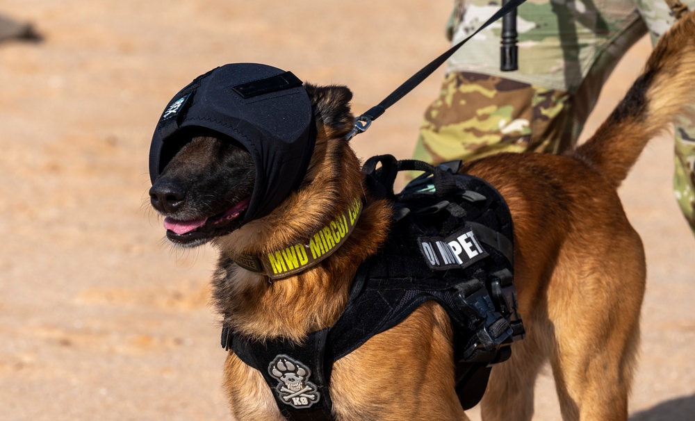 378th ESFS K9 training at the PSAB firing range