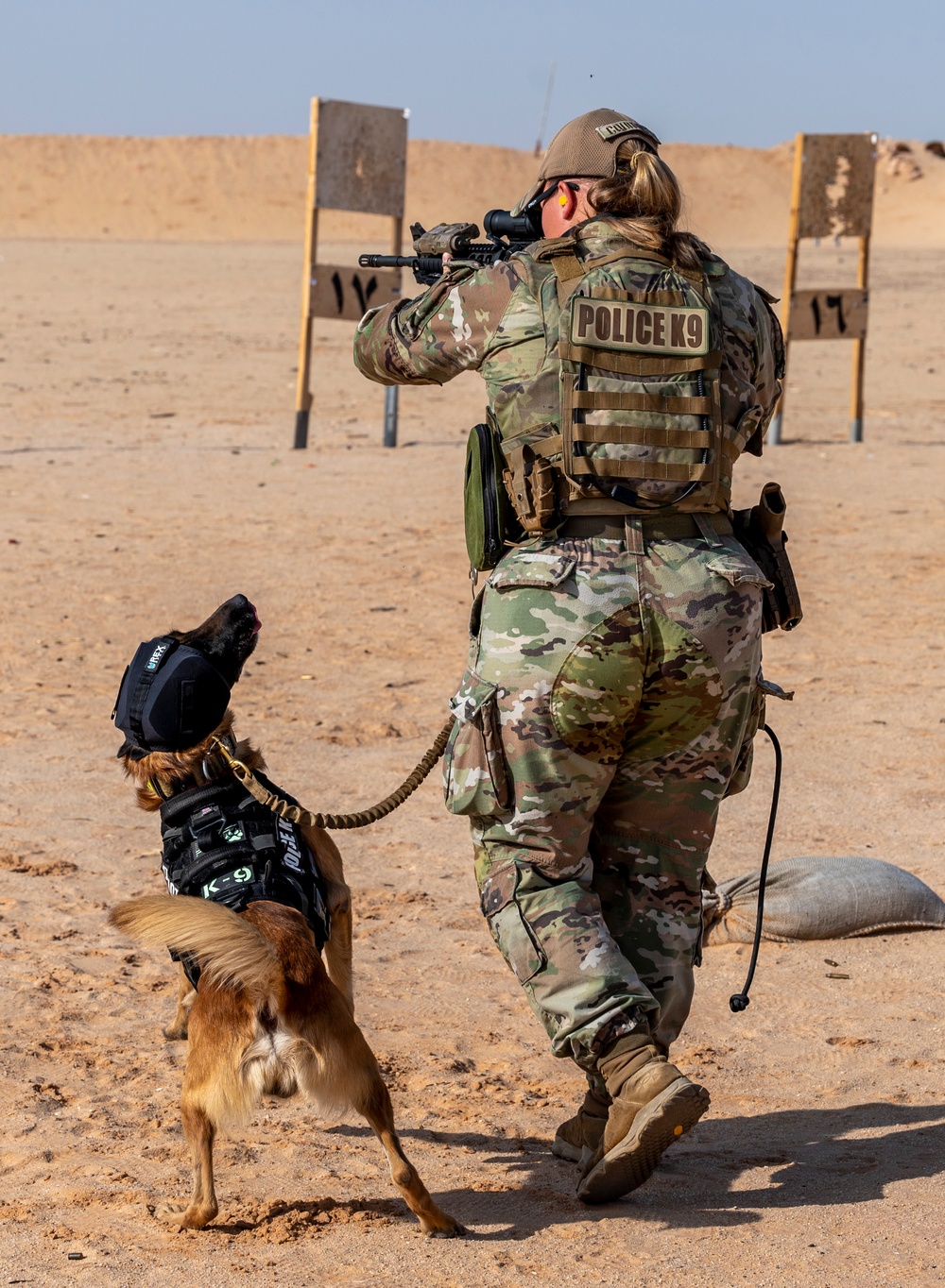 DVIDS Images 378th ESFS K9 training at the PSAB firing range [Image