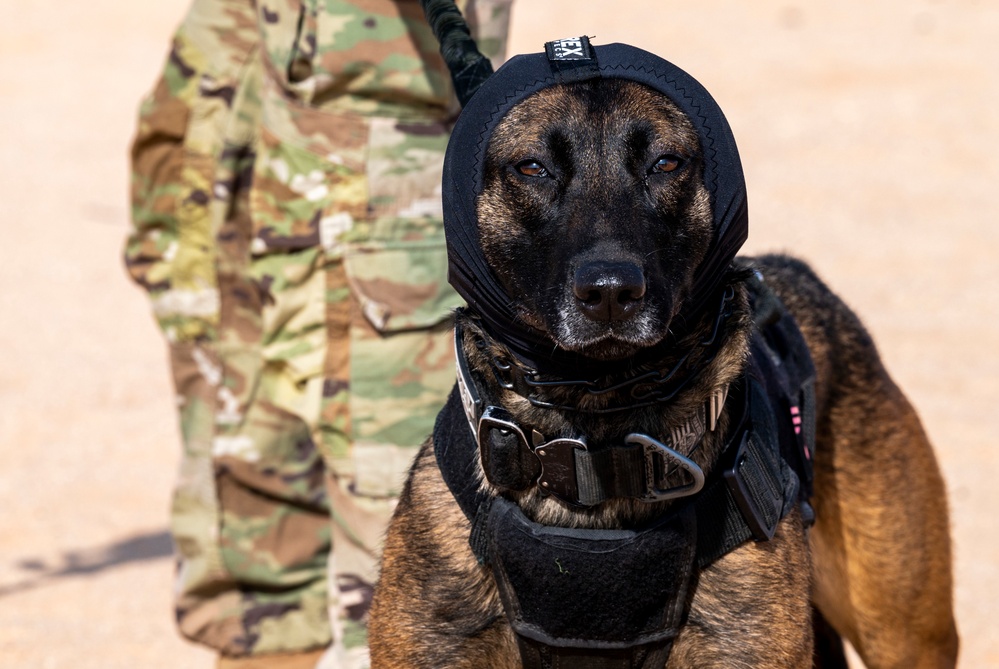 378th ESFS K9 training at the PSAB firing range