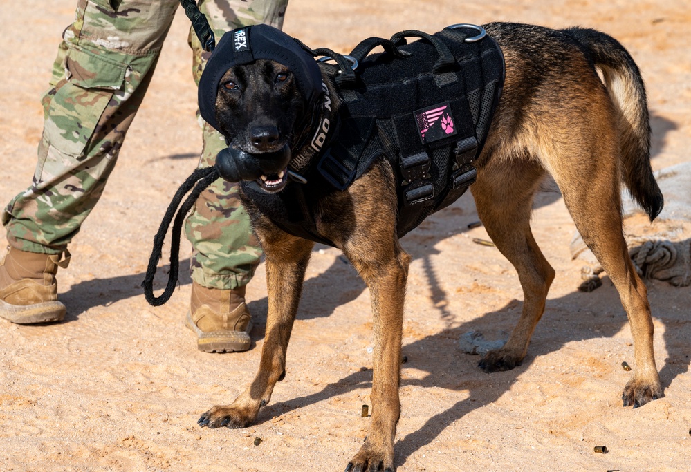 378th ESFS K9 training at the PSAB firing range