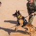378th ESFS K9 training at the PSAB firing range