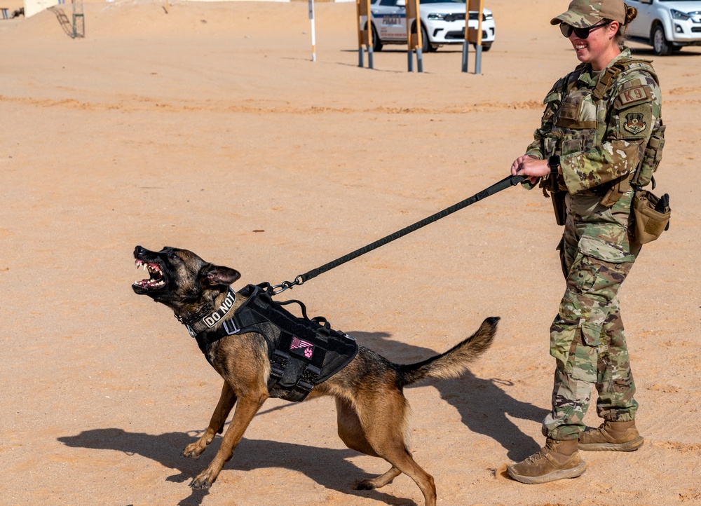 378th ESFS MWD training at the PSAB firing range
