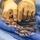 68D operating room specialist students  skill assessment
