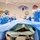 68D operating room specialist students  skill assessment