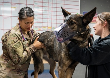 One small shop, Two major missions: 109th MDVS