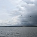 Soldiers from the 95th Civil Affairs Brigade (SO)(A) conduct a water jump at Mott Lake