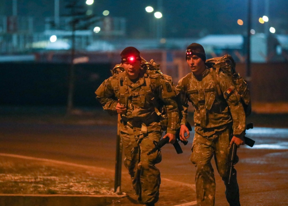 The 101st Air Assault Multi-national training in Romania