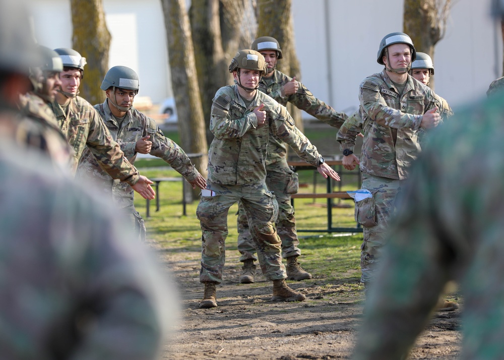The 101st Air Assault Multi-national training in Romania
