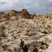 MCAGCC EOD makes Joshua Tree National Park a safer place