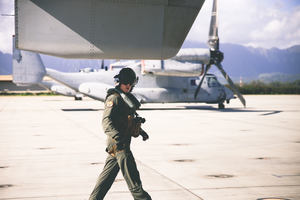 VMM-268 conducts hoist wire training