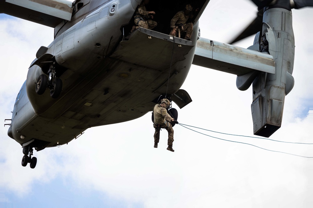 VMM-268 Conducts Fast-Rope Training with MARSOC