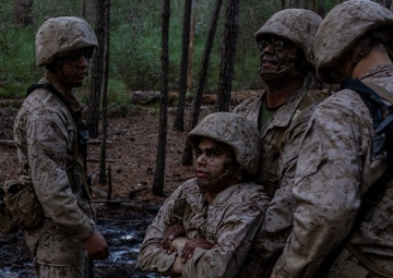 Fox Company Crucible