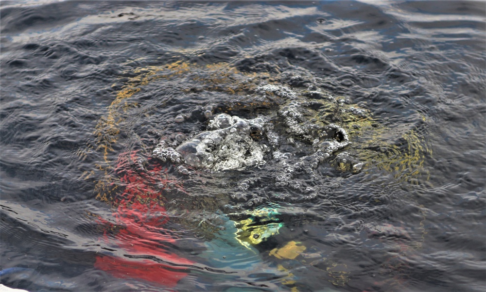 Fort McCoy Fire Department dive team conducts ice rescue training at frozen lake at Fort McCoy