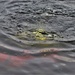 Fort McCoy Fire Department dive team conducts ice rescue training at frozen lake at Fort McCoy