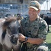 Equine Therapy Reduces Staff Stress and Anxiety at Military Hospital