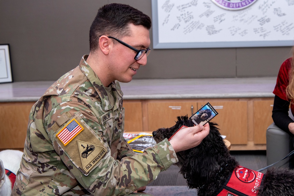 SBD 1 Chaplain's office brings GO TEAM therapy dogs to JTF-SD