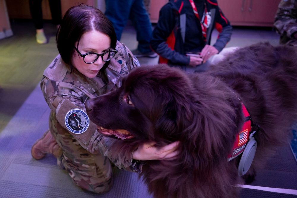SBD 1 Chaplain's office brings GO TEAM therapy dogs to JTF-SD