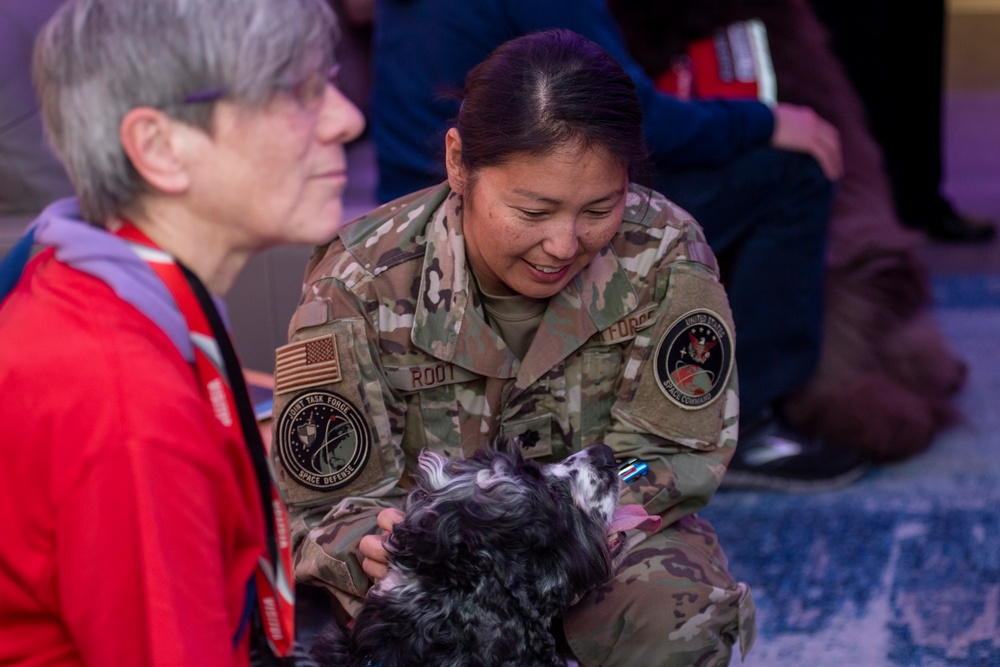 SBD 1 Chaplain's office brings GO TEAM therapy dogs to JTF-SD